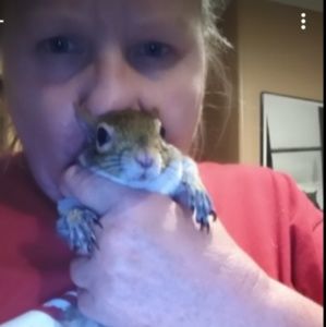 Meet your Posher, Penny